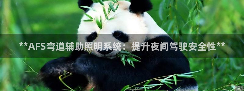 **AFS弯道辅助照明系统：提升夜间驾驶安全性**