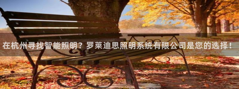 在杭州寻找智能照明？罗莱迪思照明系统有限公司是您的选择！