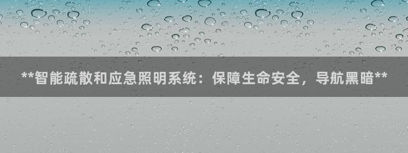 **智能疏散和应急照明系统：保障生命安全，导航黑暗**