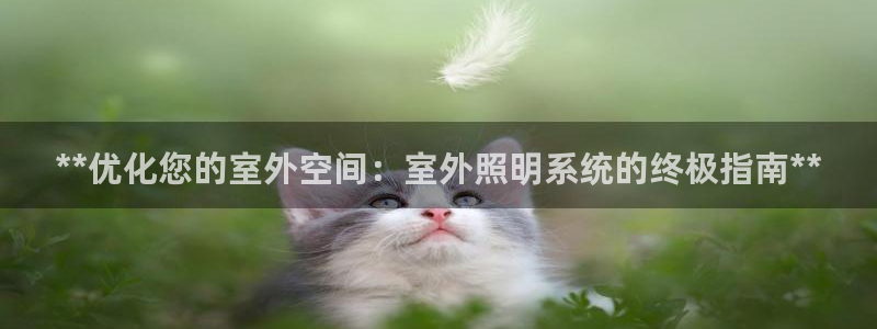 **优化您的室外空间：室外照明系统的终极指南**