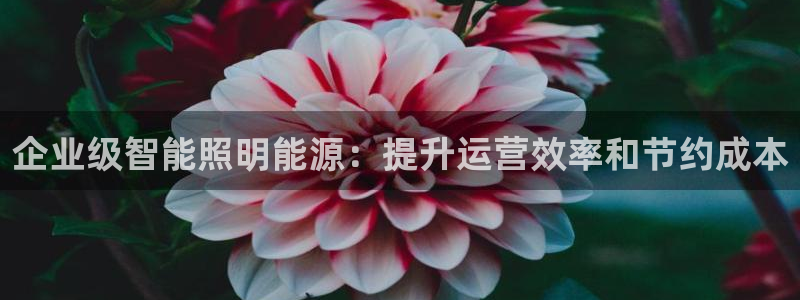 企业级智能照明能源：提升运营效率和节约成本