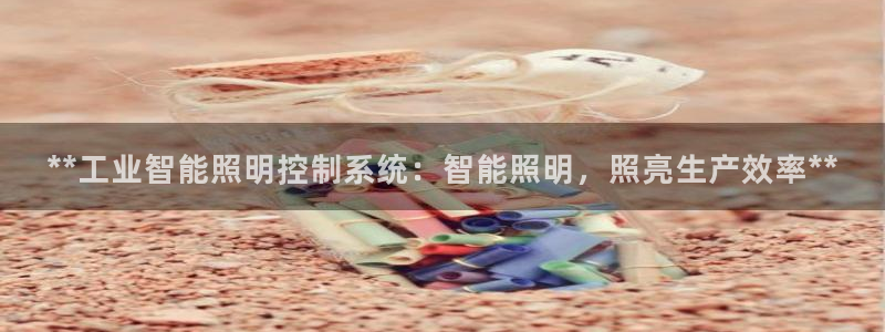 **工业智能照明控制系统：智能照明，照亮生产效率**