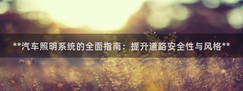 **汽车照明系统的全面指南：提升道路安全性与风格**