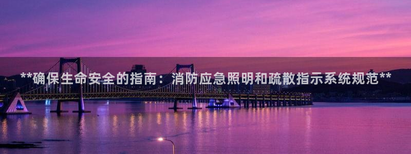 **确保生命安全的指南：消防应急照明和疏散指示系统规范**