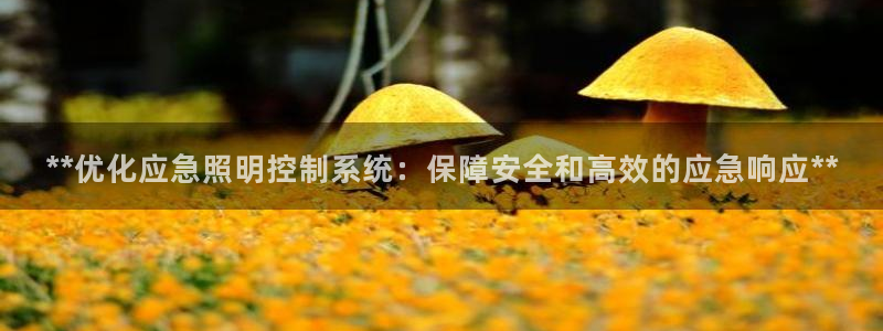 **优化应急照明控制系统：保障安全和高效的应急响应**