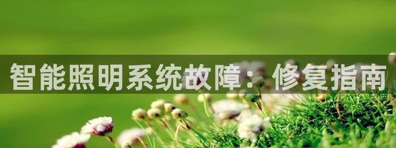 智能照明系统故障：修复指南