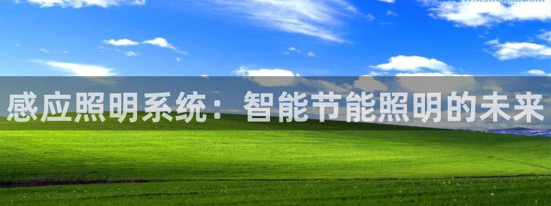 感应照明系统：智能节能照明的未来
