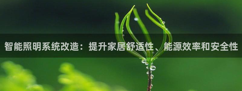 智能照明系统改造：提升家居舒适性、能源效率和安全性