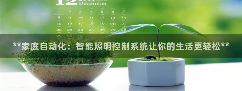 **家庭自动化：智能照明控制系统让你的生活更轻松**