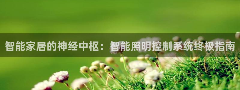 智能家居的神经中枢：智能照明控制系统终极指南