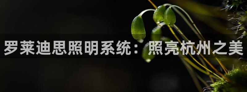罗莱迪思照明系统：照亮杭州之美