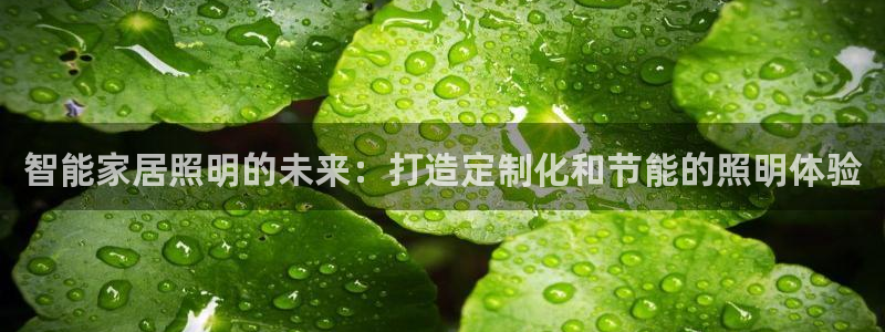 智能家居照明的未来:打造定制化和节能的照明体验