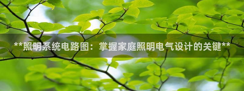 **照明系统电路图：掌握家庭照明电气设计的关键**