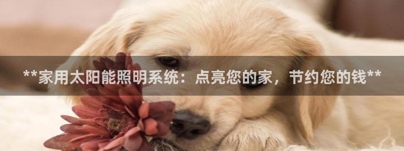 **家用太阳能照明系统：点亮您的家，节约您的钱**