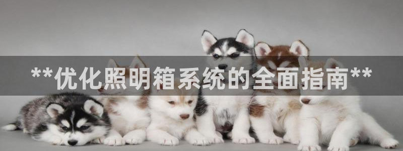 **优化照明箱系统的全面指南**