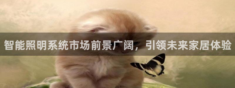 智能照明系统市场前景广阔，引领未来家居体验