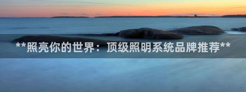 **照亮你的世界：顶级照明系统品牌推荐**