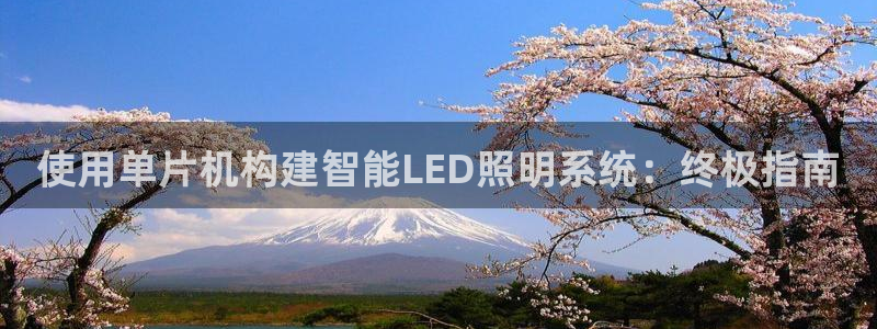 使用单片机构建智能LED照明系统：终极指南