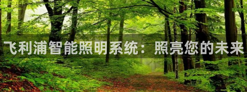 飞利浦智能照明系统：照亮您的未来