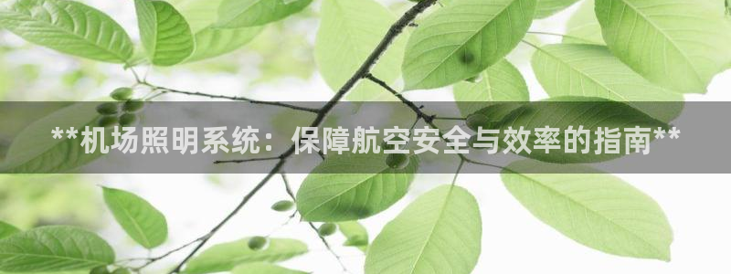 **机场照明系统：保障航空安全与效率的指南**