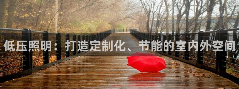 低压照明：打造定制化、节能的室内外空间