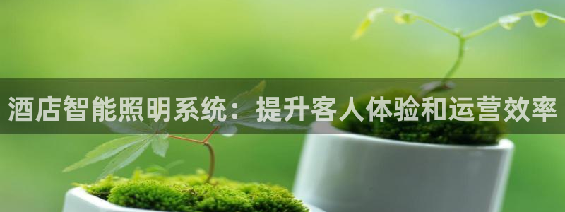 酒店智能照明系统：提升客人体验和运营效率