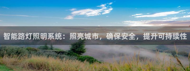 智能路灯照明系统：照亮城市，确保安全，提升可持续性