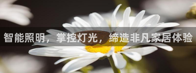 智能照明，掌控灯光，缔造非凡家居体验