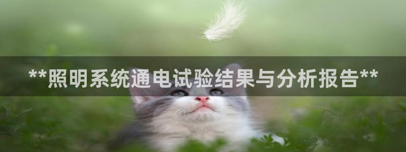 **照明系统通电试验结果与分析报告**