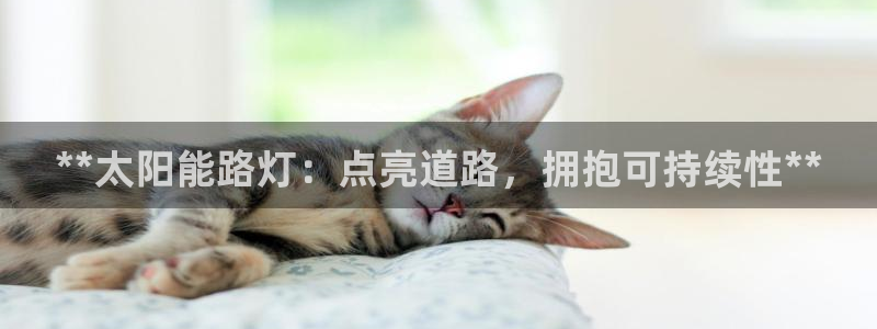 **太阳能路灯：点亮道路，拥抱可持续性**