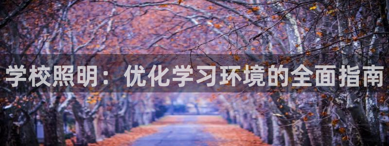 学校照明：优化学习环境的全面指南