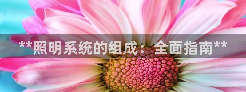 **照明系统的组成：全面指南**