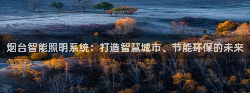 烟台智能照明系统：打造智慧城市、节能环保的未来
