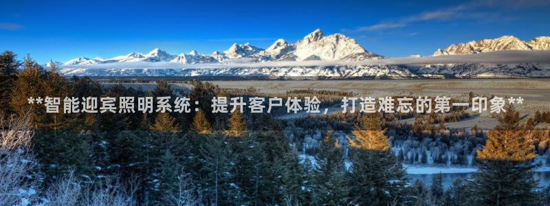 **智能迎宾照明系统：提升客户体验，打造难忘的第一印象**
