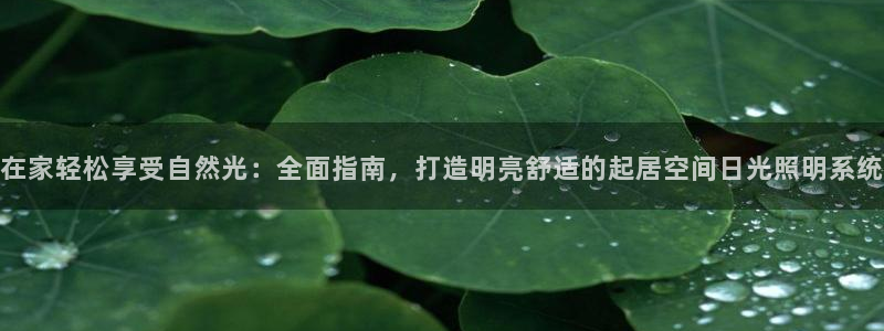 在家轻松享受自然光:全面指南,打造明亮舒适的起居空间日光照明系统
