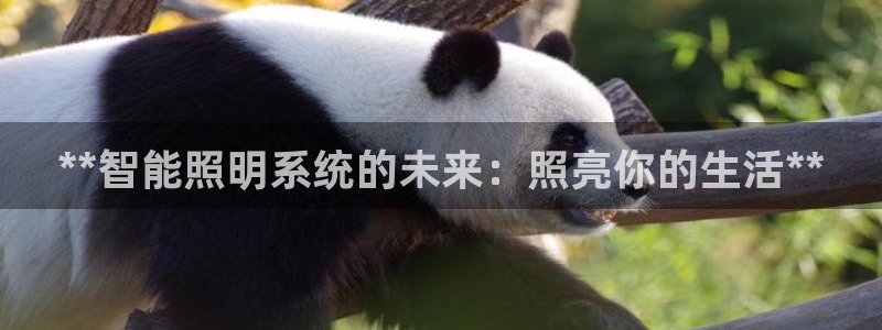 **智能照明系统的未来：照亮你的生活**