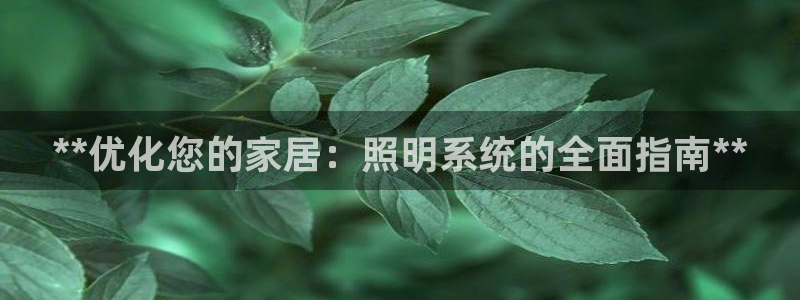 **优化您的家居：照明系统的全面指南**