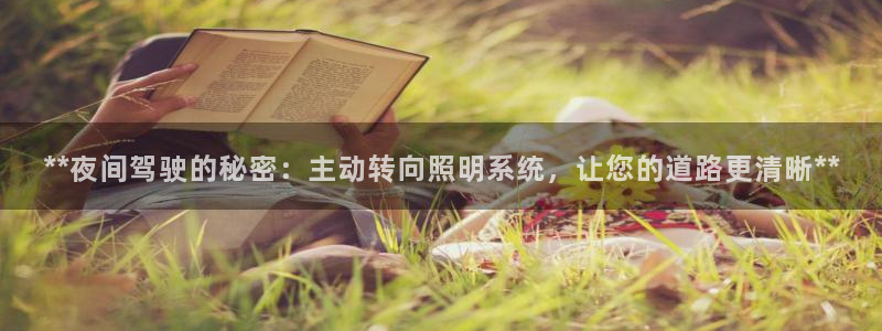 **夜间驾驶的秘密：主动转向照明系统，让您的道路更清晰**