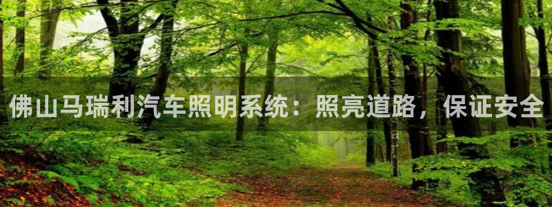 佛山马瑞利汽车照明系统：照亮道路，保证安全