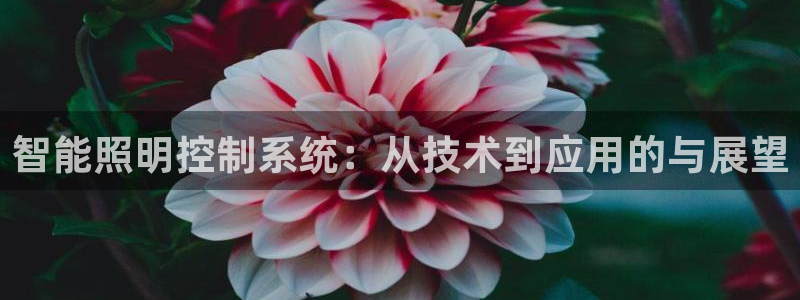 智能照明控制系统:从技术到应用的与展望