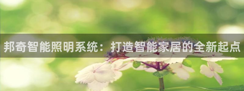 邦奇智能照明系统：打造智能家居的全新起点