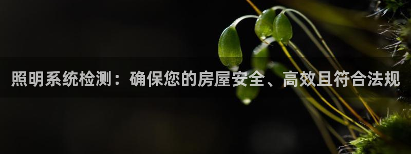 照明系统检测:确保您的房屋安全、高效且符合法规