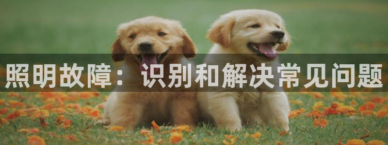 照明故障：识别和解决常见问题