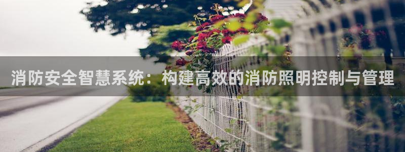 消防安全智慧系统：构建高效的消防照明控制