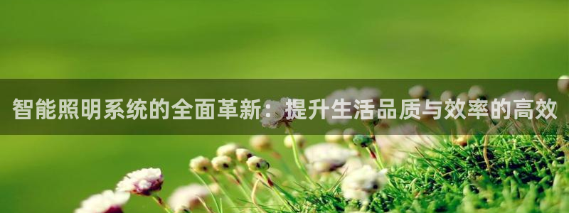 智能照明系统的全面革新:提升生活品质与效率的高效