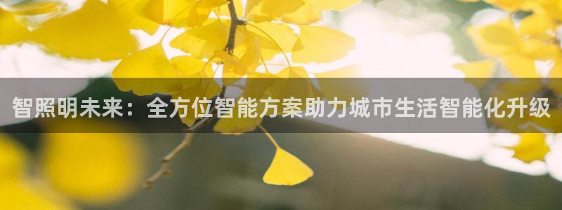 智照明未来：全方位智能方案助力城市生活智能化升级