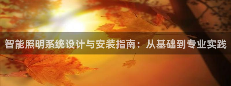 智能照明系统设计与安装指南：从基础到专业