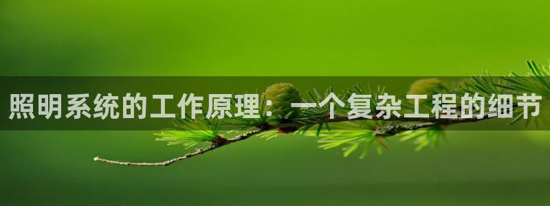 照明系统的工作原理:一个复杂工程的细节