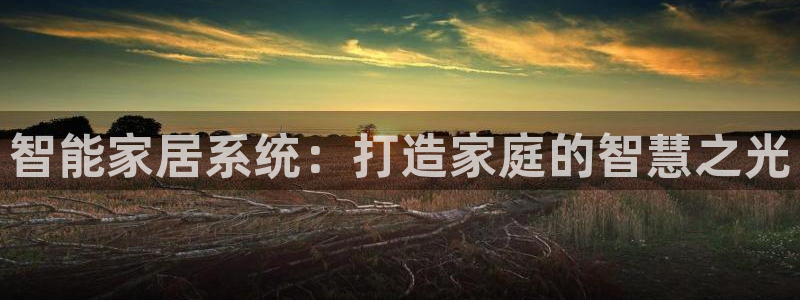 智能家居系统：打造家庭的智慧之光