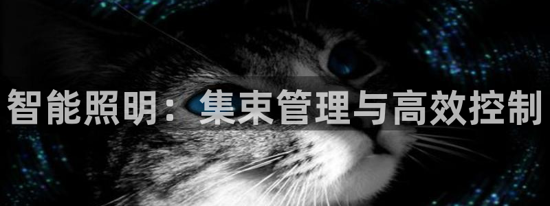 智能照明：集束管理与高效控制
